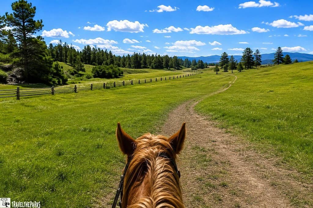 A horse meanders along a dirt path in Lamar Valley, showcasing the natural beauty near Roosevelt Lodge.