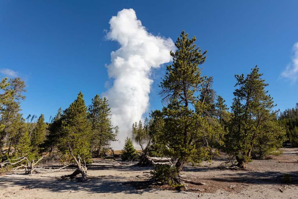 Steamboat Geyser Back Basin Norris Basin