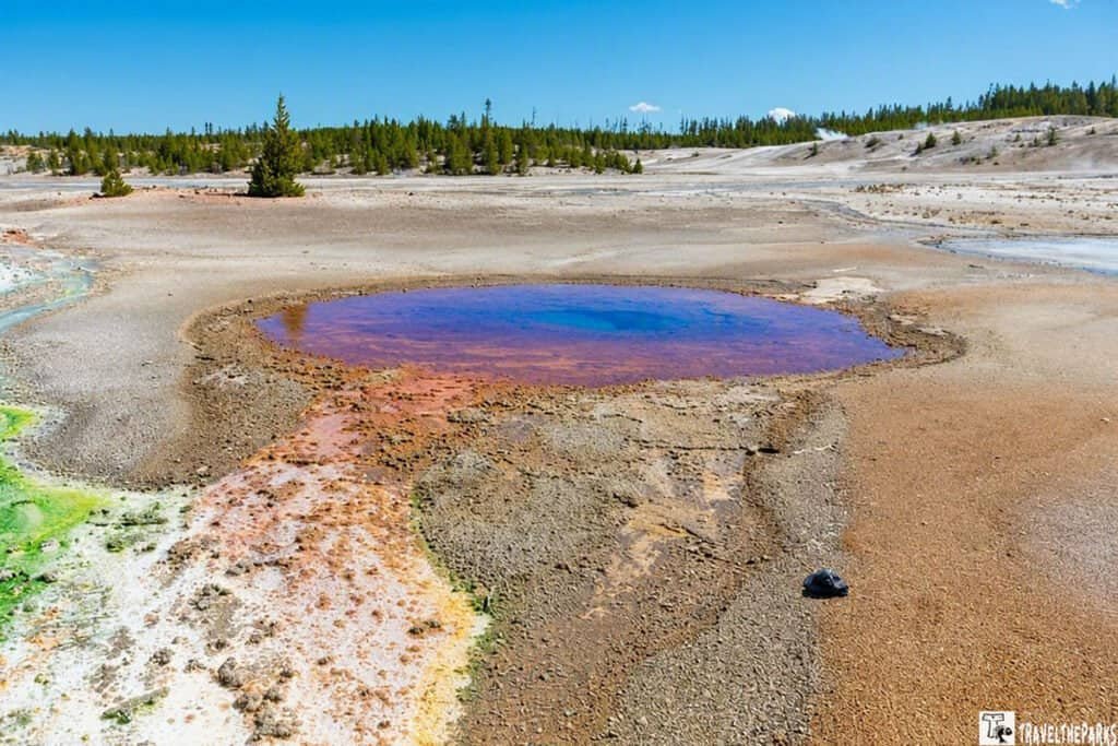 A circular, colorful hot spring in a dry, rugged landscape with coniferous trees in the background and a clear blue sky.