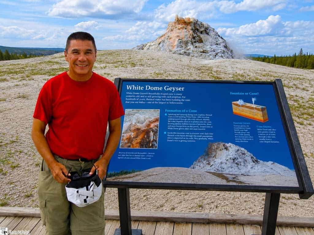White Dome Geyser erupting from its mineral-covered cone in the Lower Geyser Basin of Yellowstone National Park, sending a plume of steam and water into the air against a forested backdrop.
