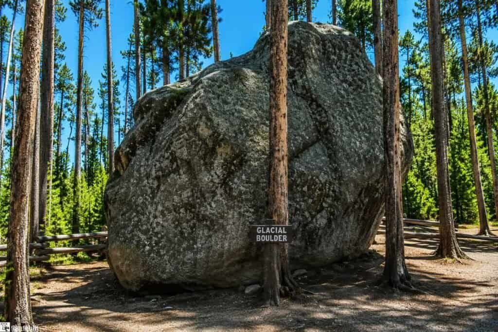 A large glacial boulder surrounded by tall pine trees, with a wooden sign that says "GLACIAL BOULDER."