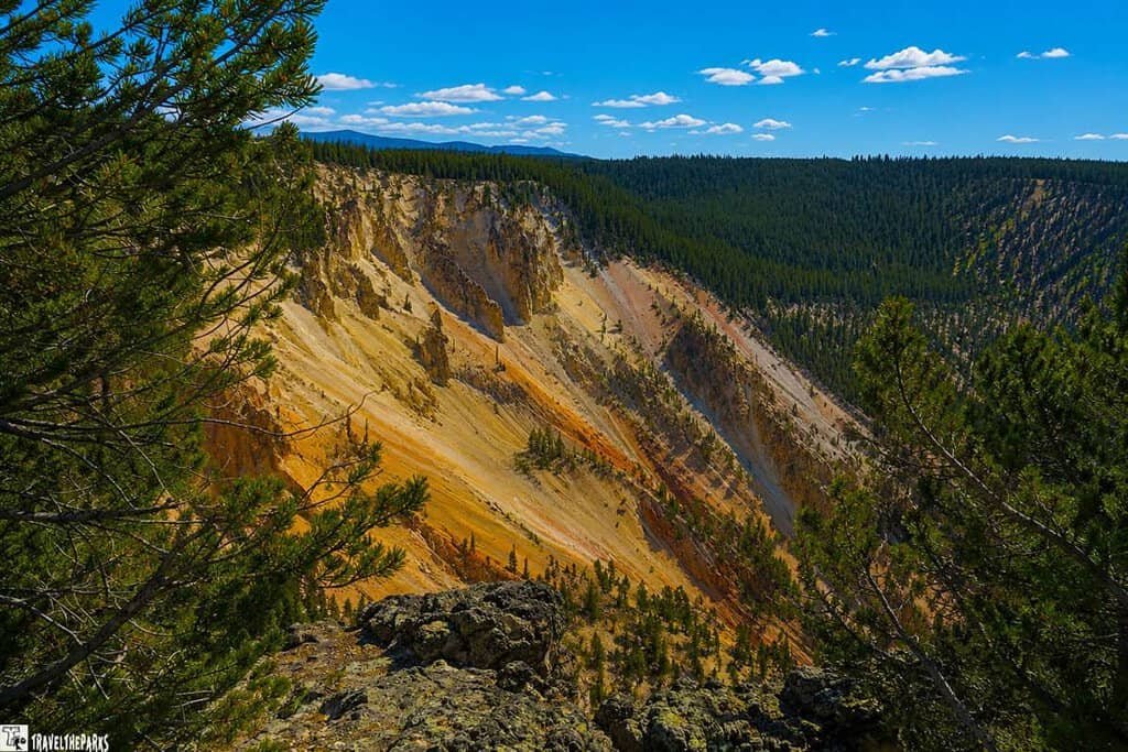 View of the Grand Canyon of Yellowstone with multi-colored canyon walls, green trees in the foreground, and a blue sky with clouds.