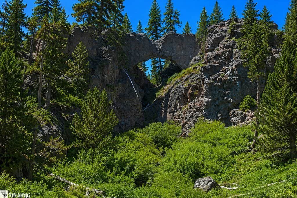 Natural rock formation with an arch, surrounded by coniferous trees and green vegetation under a clear blue sky.