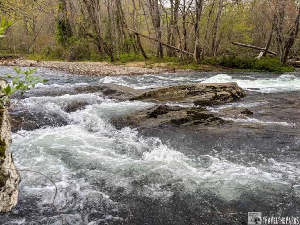 A section of the Oconaluftee River with flowing rapids over dark rocks, surrounded by green trees and natural vegetation.

