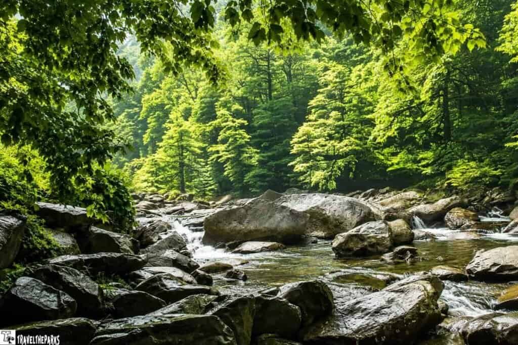 A tranquil scene of the Oconaluftee River featuring large rocks in the water, surrounded by densely forested greenery and sunlight filtering through the leaves.