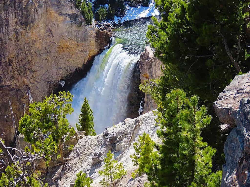 The Grand Canyon of Yellowstone features a waterfall cascading over rocky cliffs, framed by green pine trees and mist in the sunlight.

