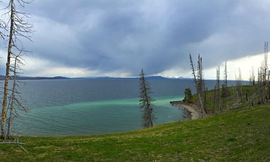 Panoramic view of Yellowstone Lake from Sedge Bay, featuring a gradient of blue and turquoise water, surrounded by grassland and bare trees, with mountains under a cloudy sky.