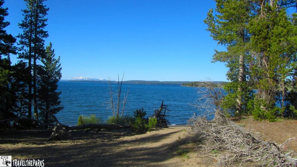Scenic view of Yellowstone Lake surrounded by pine trees, sandy terrain, and distant snow-capped mountains under a clear blue sky.