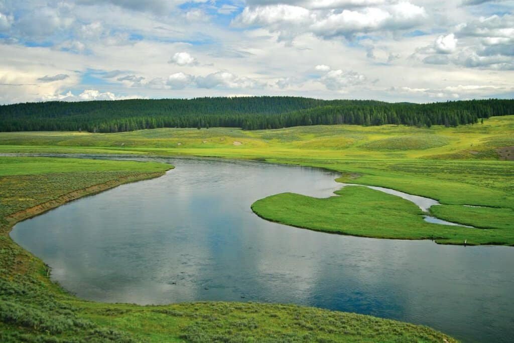 Expansive green landscape of Hayden Valley with the Yellowstone River meandering through it.