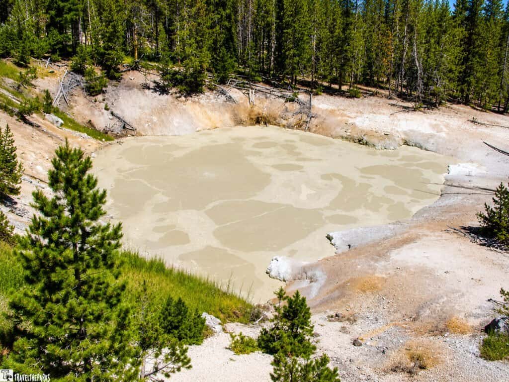 Sulphur Caldron-Mud Volcano Yellowstone National Park: A circular, pale green hot spring surrounded by rocky, barren terrain, with dense pine forest in the background. The scene is tranquil and natural.