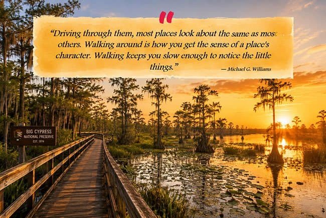  “Driving through them, most places look about the same as most others. Walking around is how you get the sense of a place's character. Walking keeps you slow enough to notice the little things.”