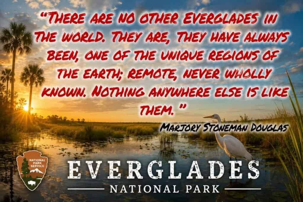 "There are no other Everglades in the world. They are, they have always been, one of the unique regions of the earth; remote, never wholly known. Nothing anywhere else is like them," Marjorie Stoneman Douglas