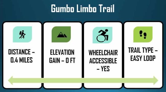 gumbo-limbo-trail-Everglades National Park