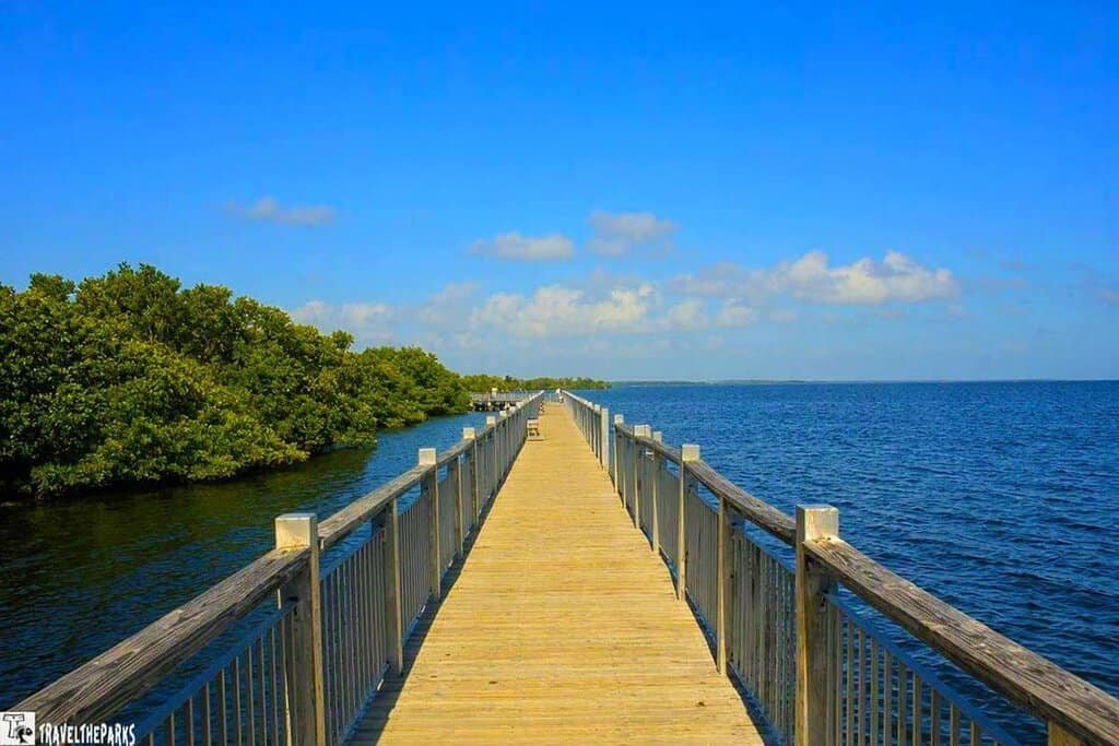 Biscayne National Park Boardwalk over the mangroves