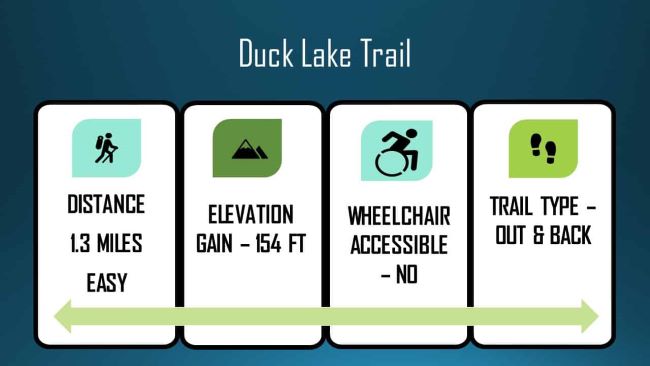 Duck Trail Stats