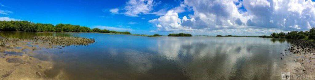 Cemetary Point Park-Cedar Key Florida: Panoramic view of a coastal landscape with calm water reflecting the blue sky and white clouds, bordered by green vegetation.