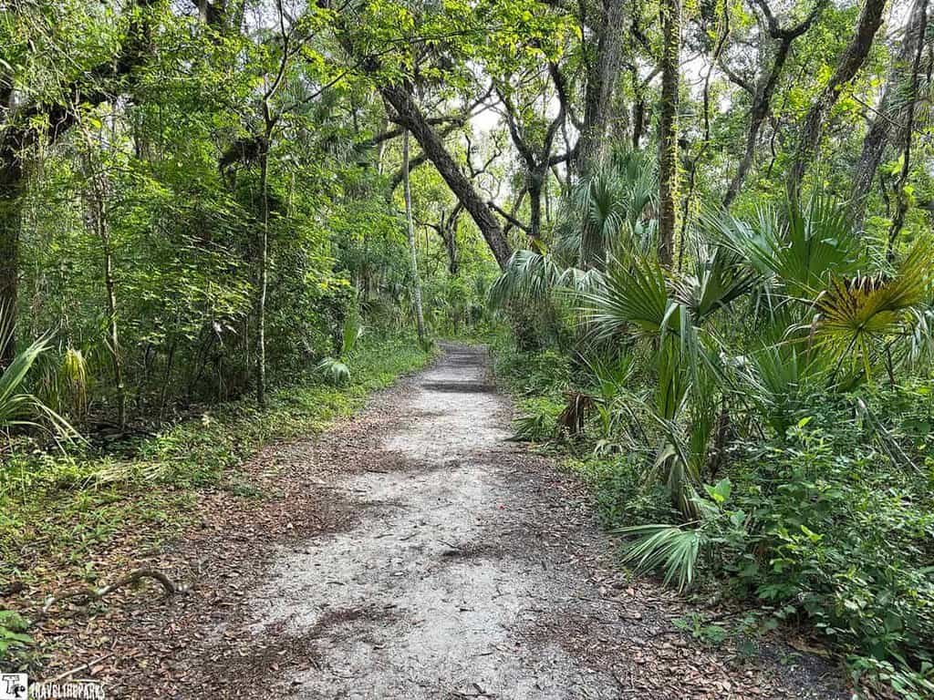 A winding gravel path through a lush green forest, surrounded by tall trees and dense foliage.