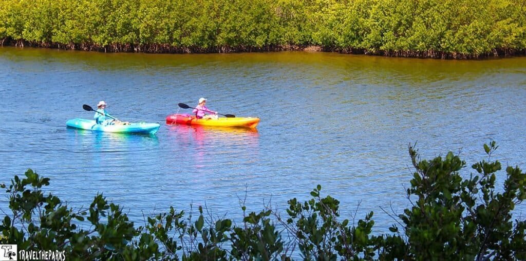 Two people kayaking in blue and orange kayaks on calm water surrounded by green mangroves.