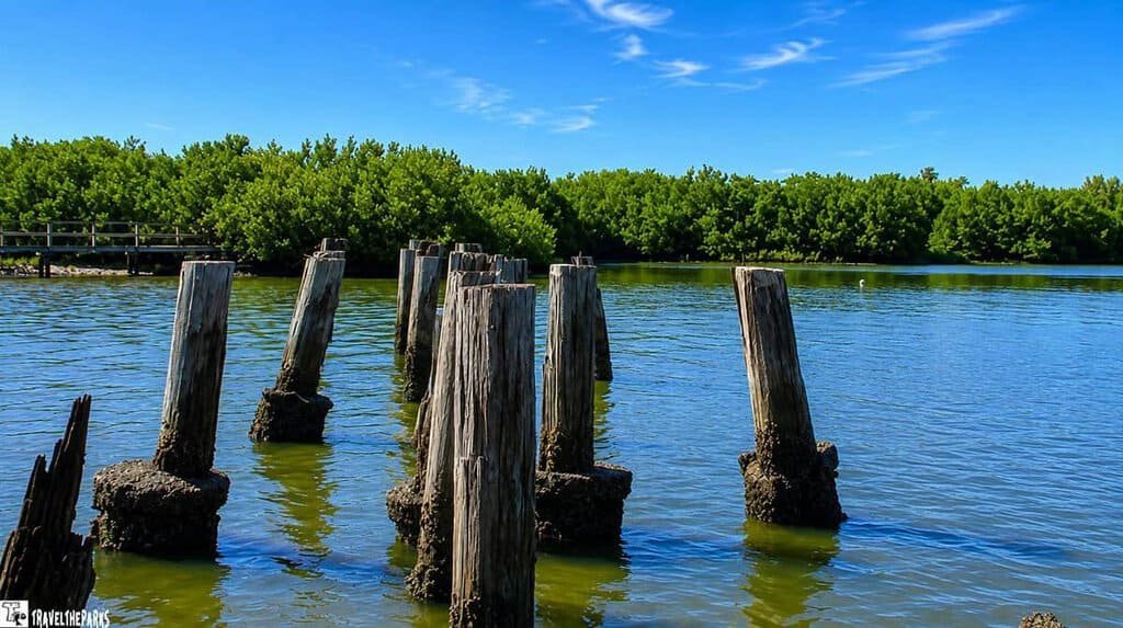 Cedar Key Railroad Trestle: Wooden posts in calm water with a mangrove forest in the background.