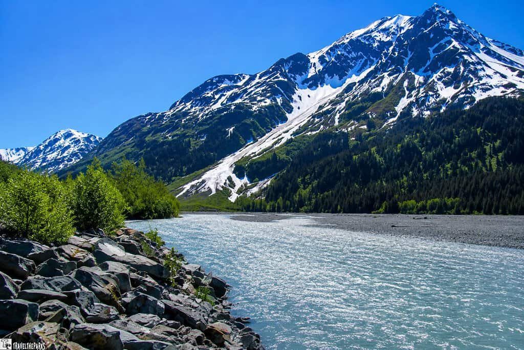 View of the resurrection river, rocky shore, evergreen trees, and snow-capped mountains in the background.