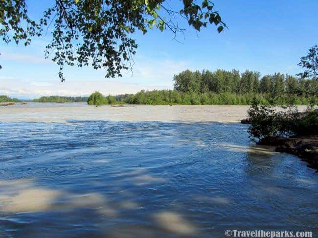 Talkeetna Riverfront Park: A calm wide river flowing under a bright blue sky, framed by tree trunks and green foliage.

