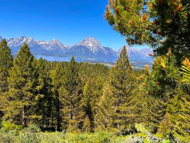 Scenic view of the Grand Teton mountains with a lake and dense evergreen forest in the foreground.