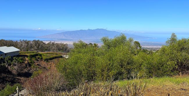 A scenic view from Kula, Maui, featuring green vegetation in the foreground, a light-colored house, and a distant mountain range meeting the ocean under a clear blue sky.

