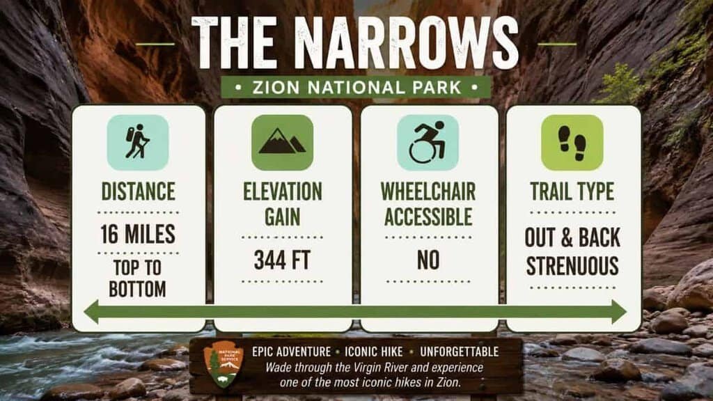 Infographic about "The Narrows" hike in Zion National Park, detailing distance, elevation gain, accessibility, and trail type, with scenic background elements.