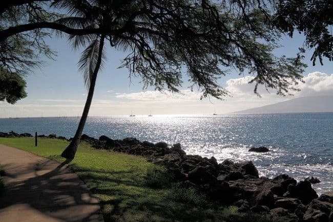 Scenic island beach with views of the ocean