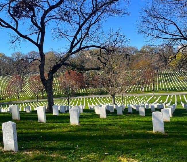 Arlington National cemetery with rows of white headstones and leafless trees under a blue sky.