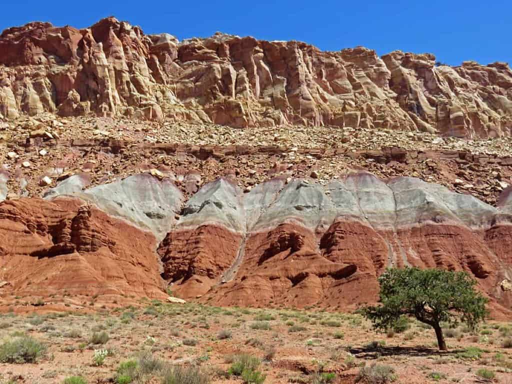 Layered red and gray rock formations beneath rugged cliffs at Capitol Reef National Park with a single tree in the foreground.