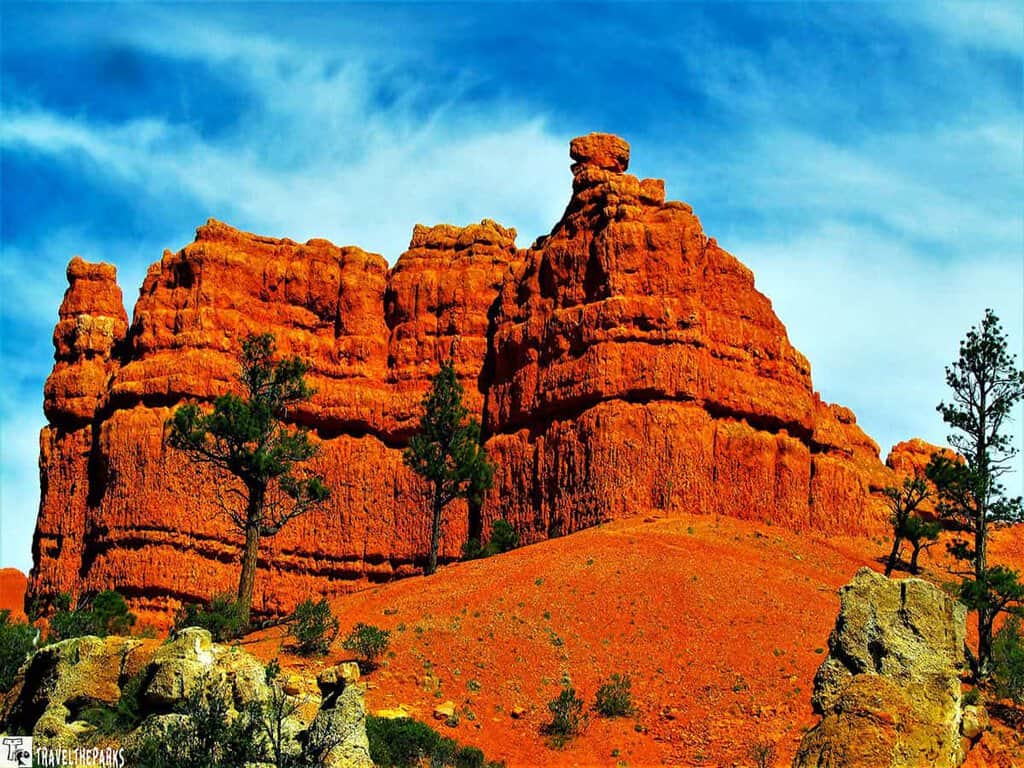 Red rock formations with green pine trees in the foreground against a blue sky.