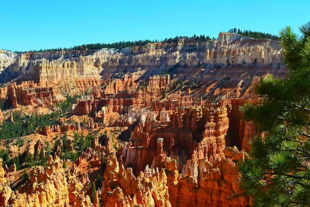 Panoramic view of Bryce Canyon's hoodoos with vibrant red and orange rock formations against a clear blue sky.

