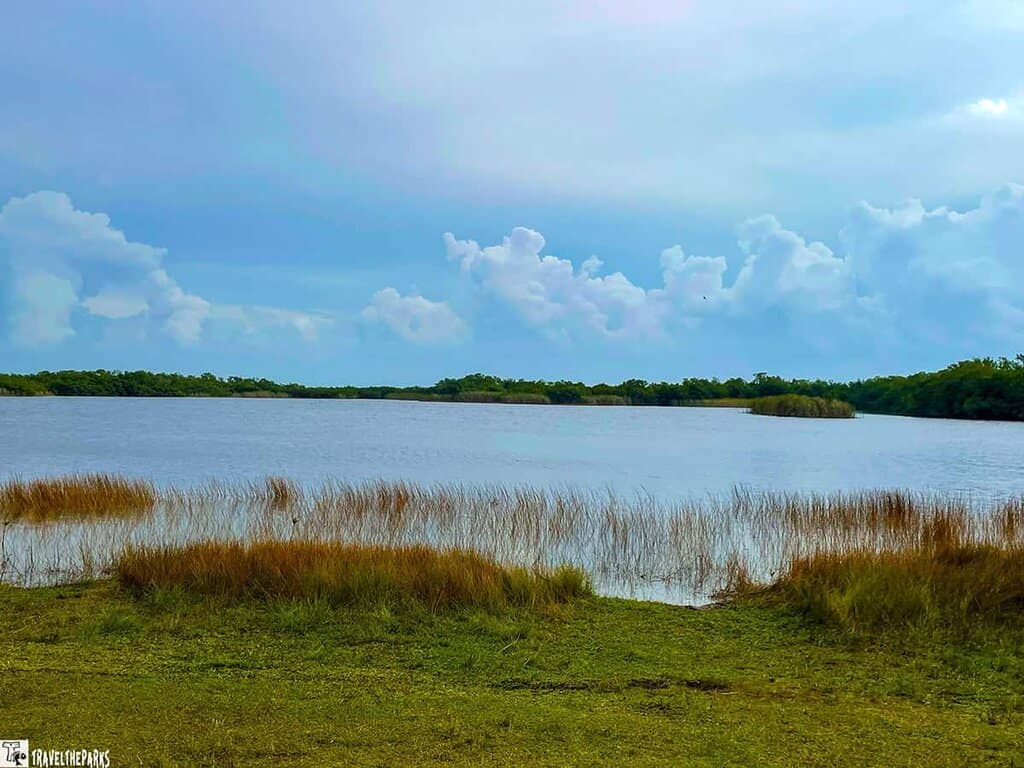 9-mile pond Canoe Trail Serene pond with dense trees and cloudy sky.