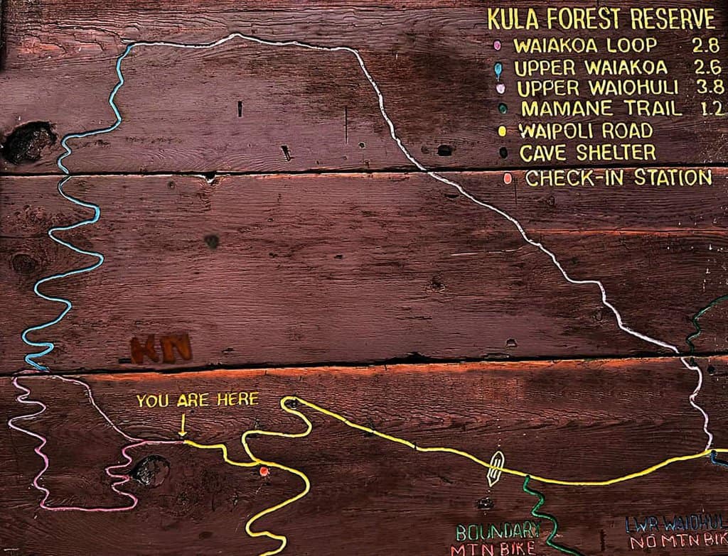Map of Kula Forest Reserve trails on a wooden board, with distances and no biking zones.