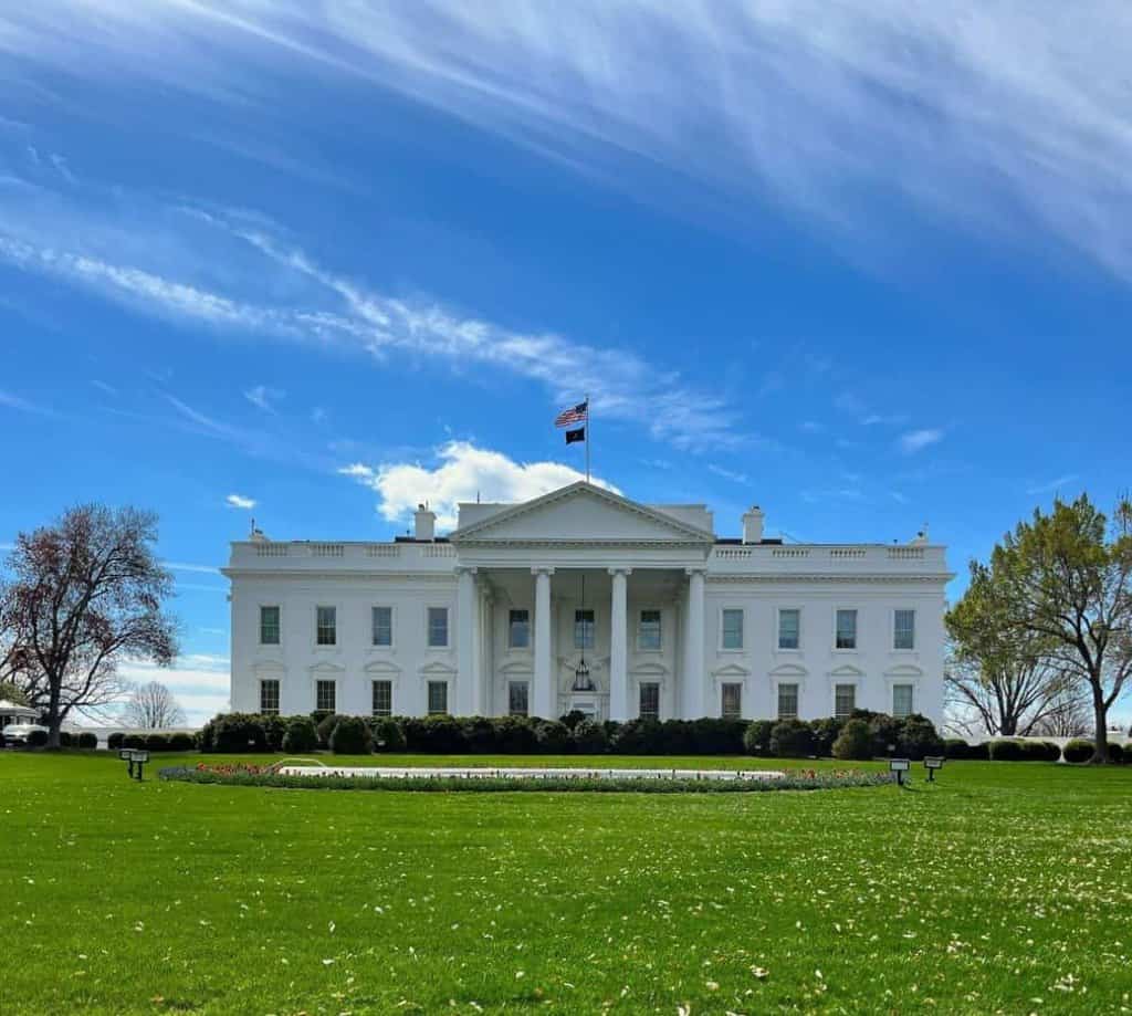 the White House from a frontal perspective. The iconic building stands out with its neoclassical architecture, featuring tall white columns and multiple windows. A clear blue sky with wispy clouds stretches above the structure, and an American flag is visible atop the roof. The well-maintained lawn in the foreground is expansive and vibrant green, dotted with small patches of white flowers. Flanking the building are two trees, one on each side, adding to the greenery. Flower beds and small shrubs line the area closer to the building, providing a decorative touch to the landscape.