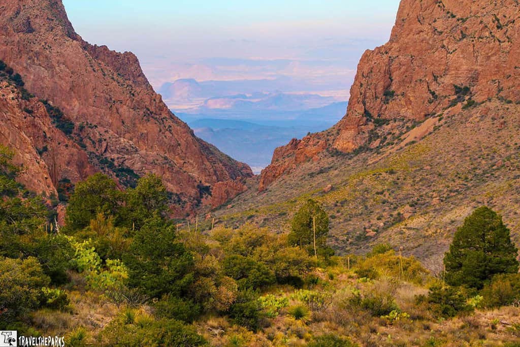 The Window at Big Bend National Park with desert vegetation and distant valley view.