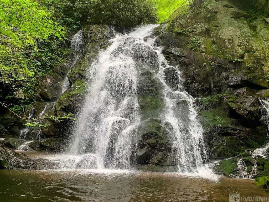 A waterfall cascading over moss-covered rocks surrounded by green foliage.