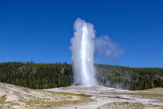 Old Faithful geyser erupts with steam and water against a forested backdrop, under a blue sky with clouds.