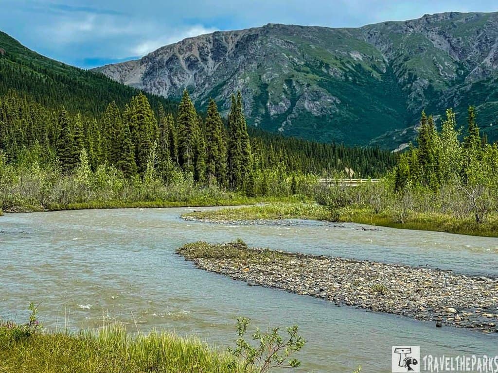 A river flowing through a forest with mountains in the background at Denali National Park.