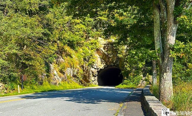 A quiet country road curves into a dark tunnel cut through a rocky, tree-covered hillside, with sunlight dappling the pavement and a stone wall.