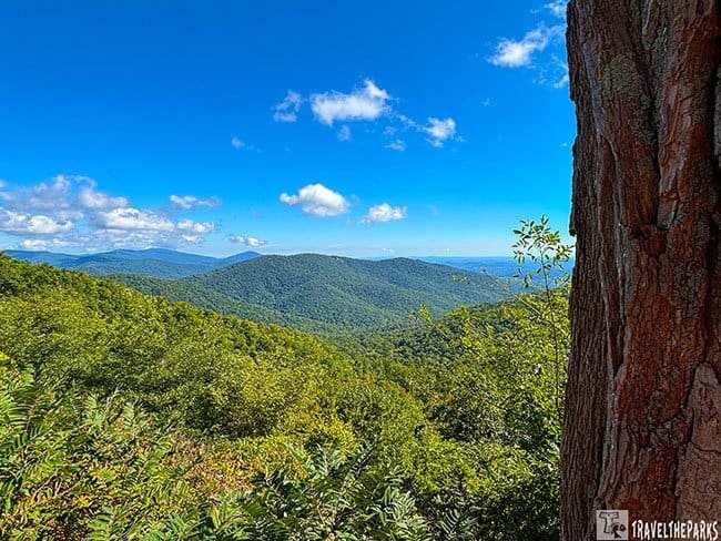 A massive tree trunk frames rolling, forest-covered mountains beneath a vivid blue sky with scattered clouds, creating a peaceful, expansive summer landscape.