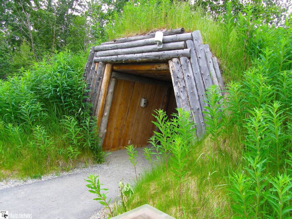 Rustic log-framed wooden doorway leads into an earthen shelter, surrounded by tall green grasses and wild plants in a quiet setting.