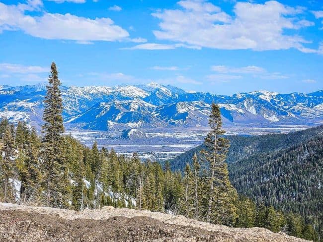 Valley Views of the Tetons
