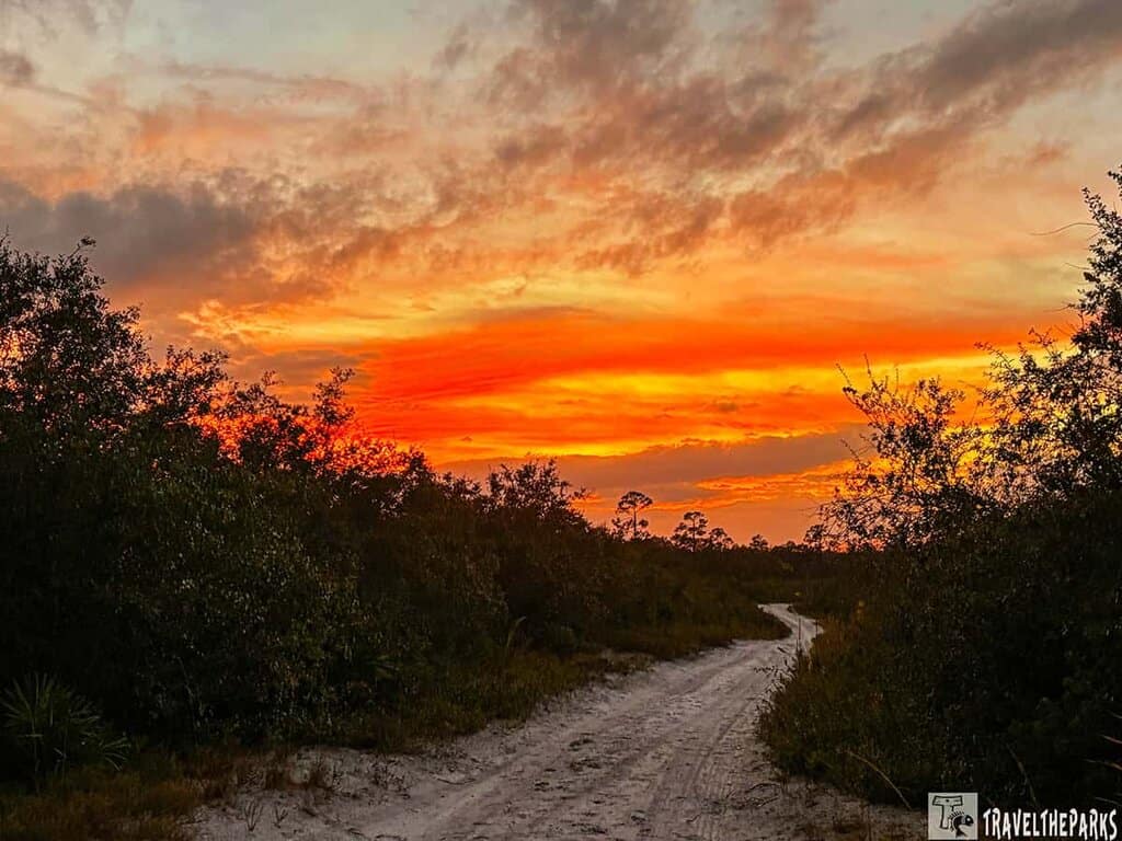 Vibrant sunset over a winding dirt path at Blue Springs State Park, framed by silhouetted foliage.