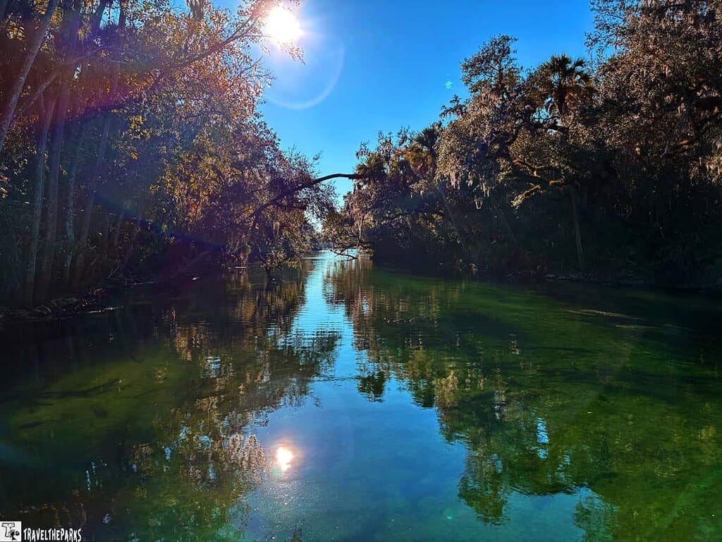 A river at Blue Springs State Park with sunlight reflecting on the water, flanked by dense trees under a clear blue sky.
