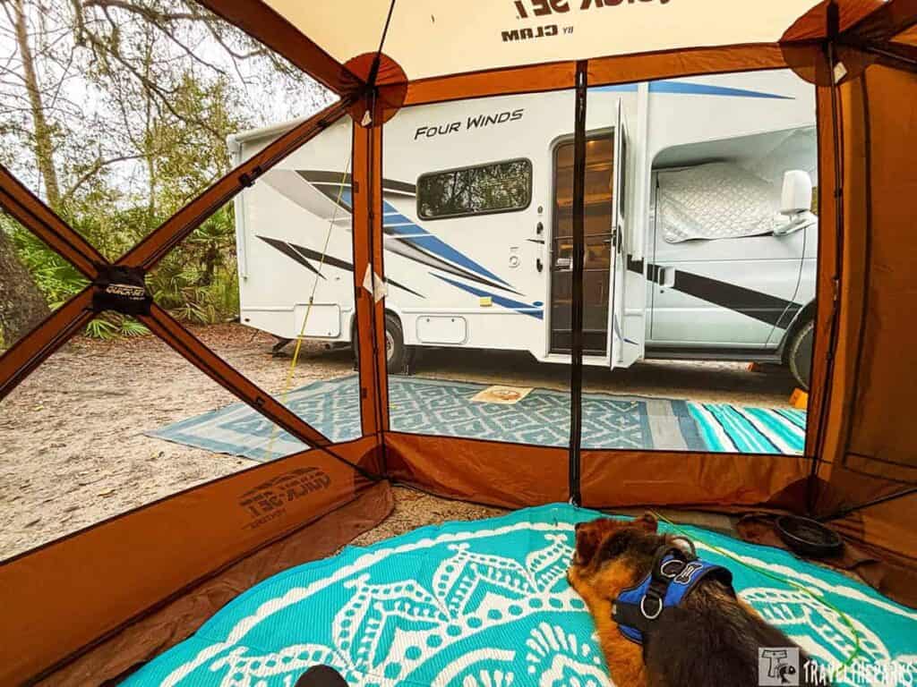 View from inside a tent towards an RV in a wooded area, with a dog lying on a turquoise rug inside the tent.