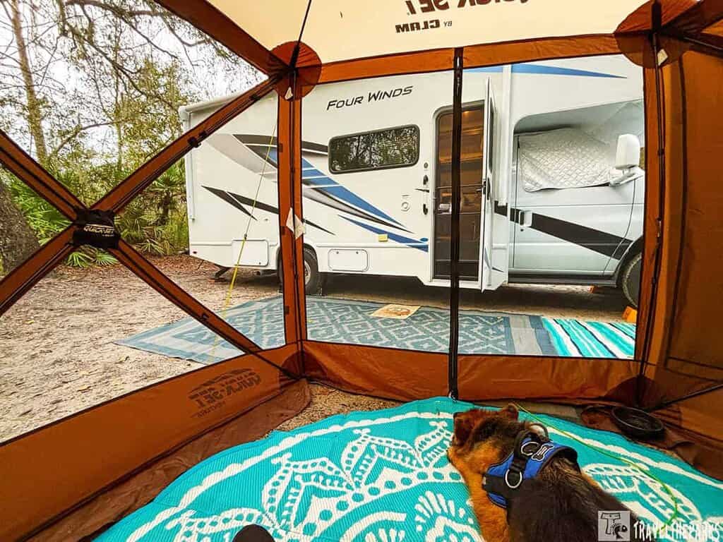 View from inside a tent towards an RV in a wooded area, with a dog lying on a turquoise rug inside the tent.