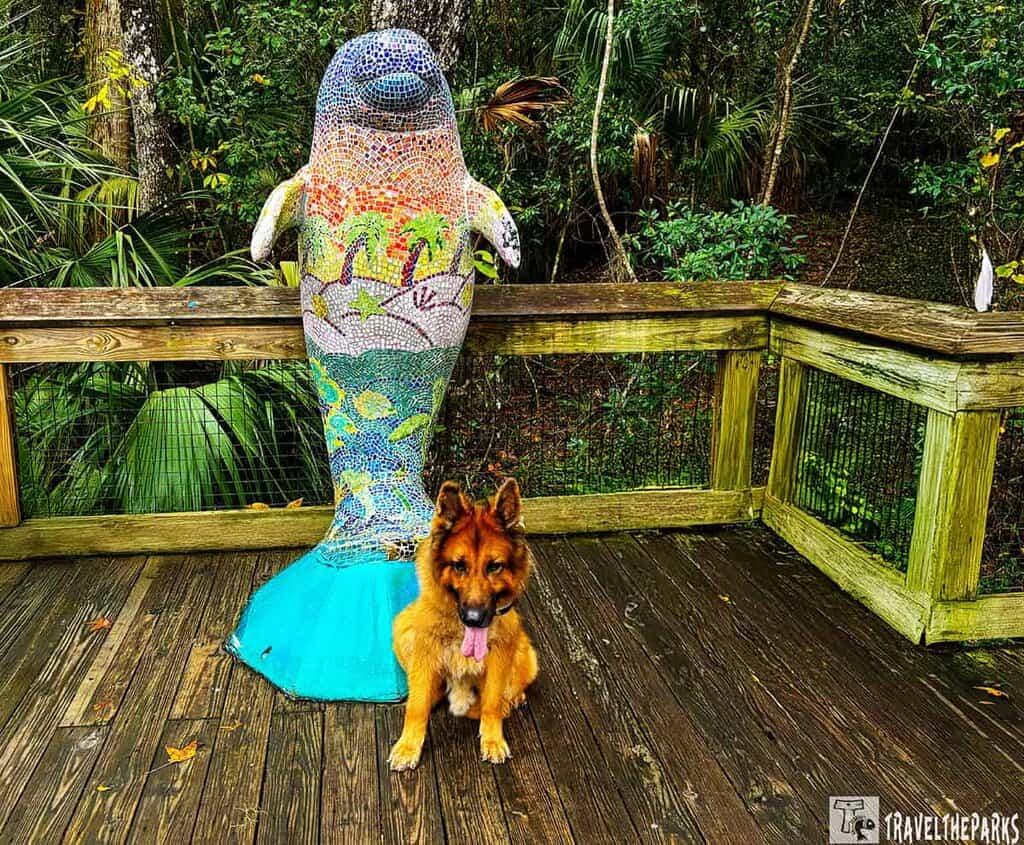 Mosaic manatee sculpture on a wooden deck with a German Shepherd in front; lush green foliage in the background.