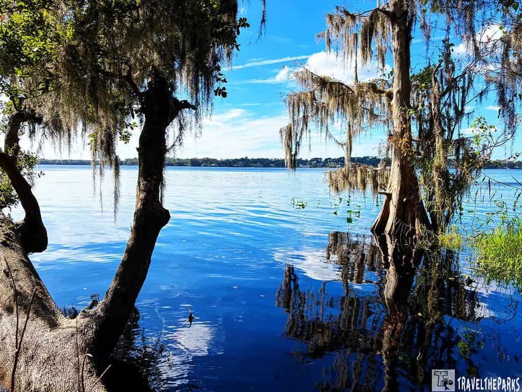 Trees with Spanish moss over a river at St Johns River Blue Springs State Park.